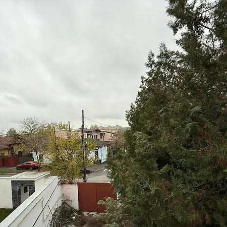 Christmas House Villa *